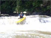 SpringCreek 8
